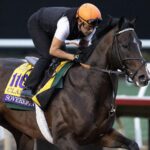 Sovereignty - Barbara D. Livingston - Daily Racing Form