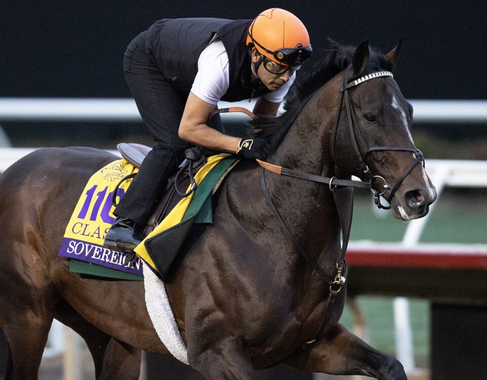 Sovereignty - Barbara D. Livingston - Daily Racing Form