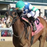 TRENDSETTER - Stonestreet Lexington G3 - John Gallagher - Coady Media