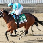 Taj Mahal - Photo: JEFFREY SNYDER F/ The Maryland Jockey Club
