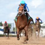 The Puma - Ryan Thompson - Coglianese Photo