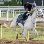 White Abarrio - Barbara Livingston photo - Daily Racing Form