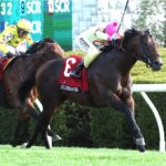 Zulu Kingdom (Ire) - Maker's Mark Mile G1 - Keeneland - Coady Media USA
