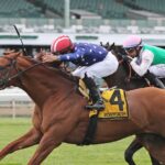 Neat - Cliff Hanger Stakes - Monmouth Park - Photo By Ryan Denver/EQUI-PHOTO