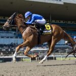 Maycocks Bay - Eclipse Stakes G2 - Woodbine/ Michael Burns Photo