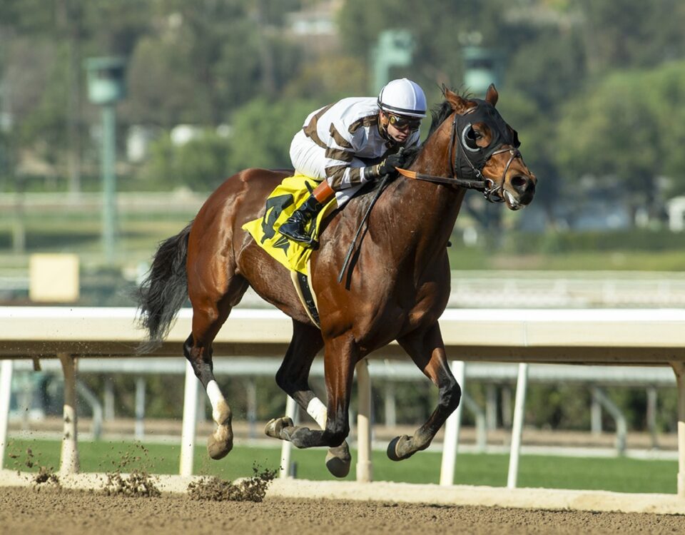Big City Lights - Santa Anita Park - Benoit Photo