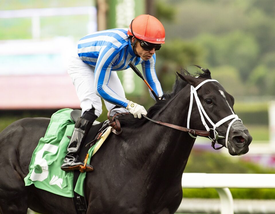 Bust Out and jockey Emisael Jaramillo win the $100,000 Cinema Stakes - Santa Anita Park, Arcadia, CA. - Benoit Photo