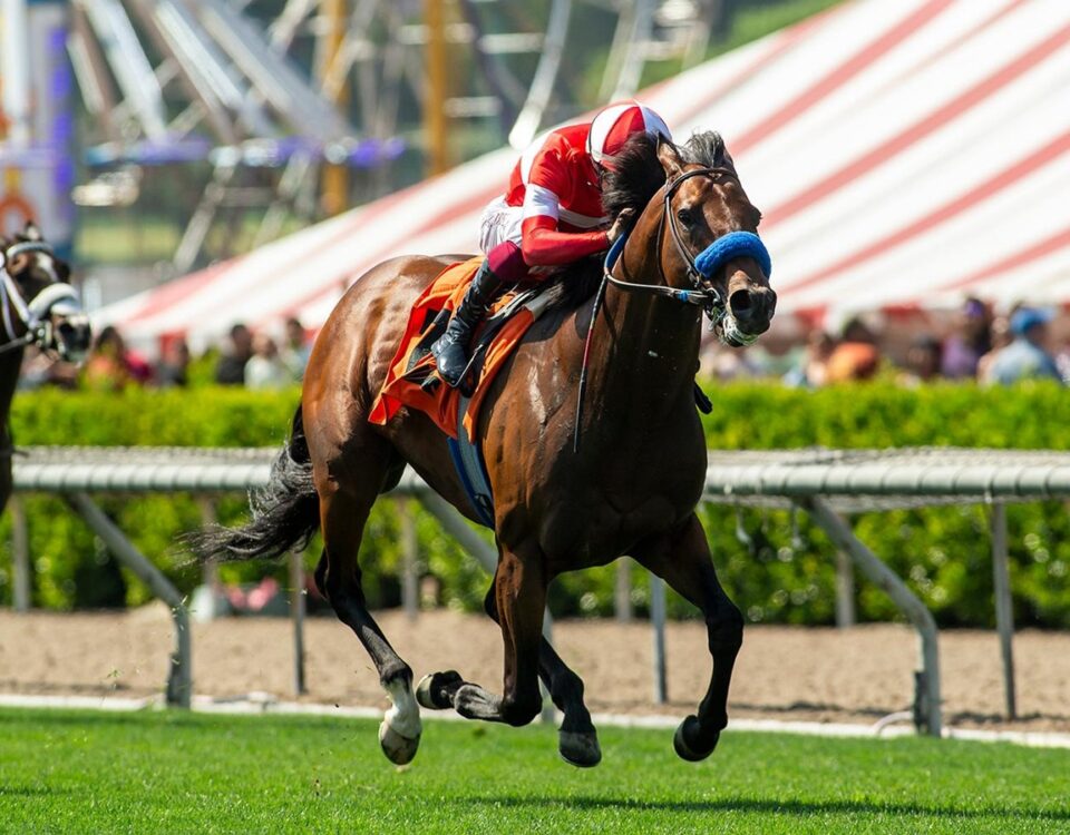 Flyover - Crystal Water Stakes - Santa Anita Park - Benoit Photo