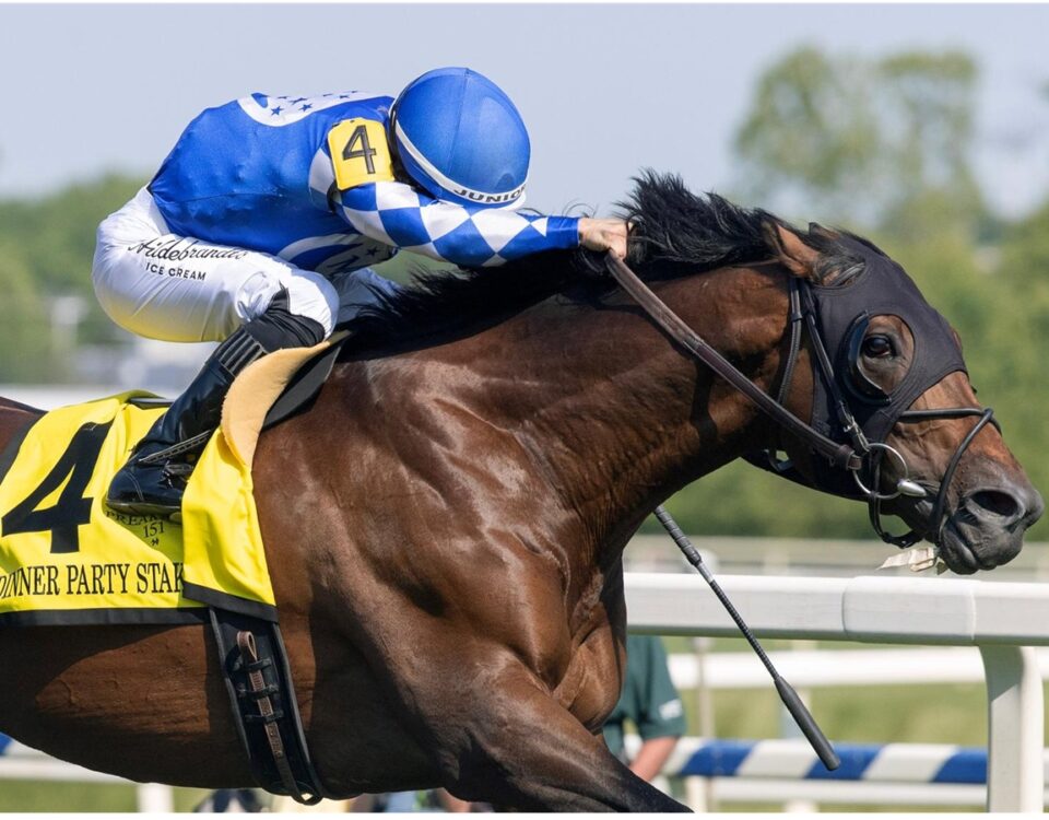 Fort Washington - Dinner Party Stakes G3 2026 - Laurel Park - Barbara D. Livingston - Daily Racing Form