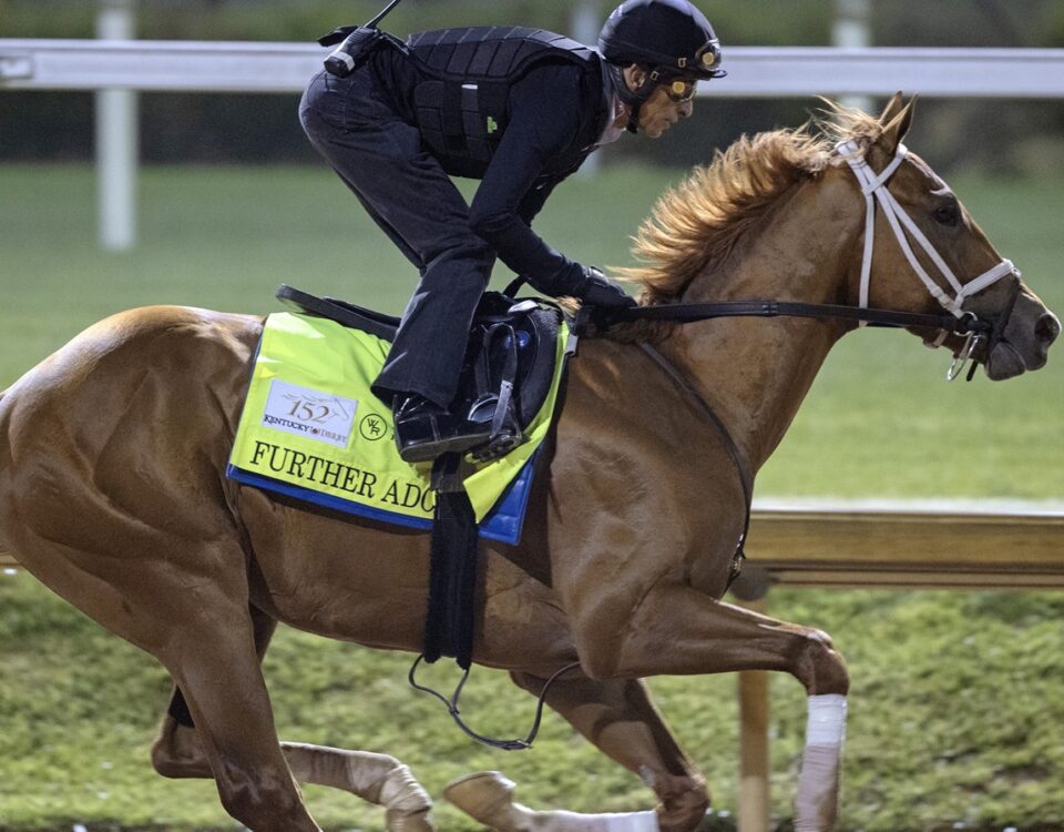 Further Ado - Barbara D. Livingston - Daily Racing Form