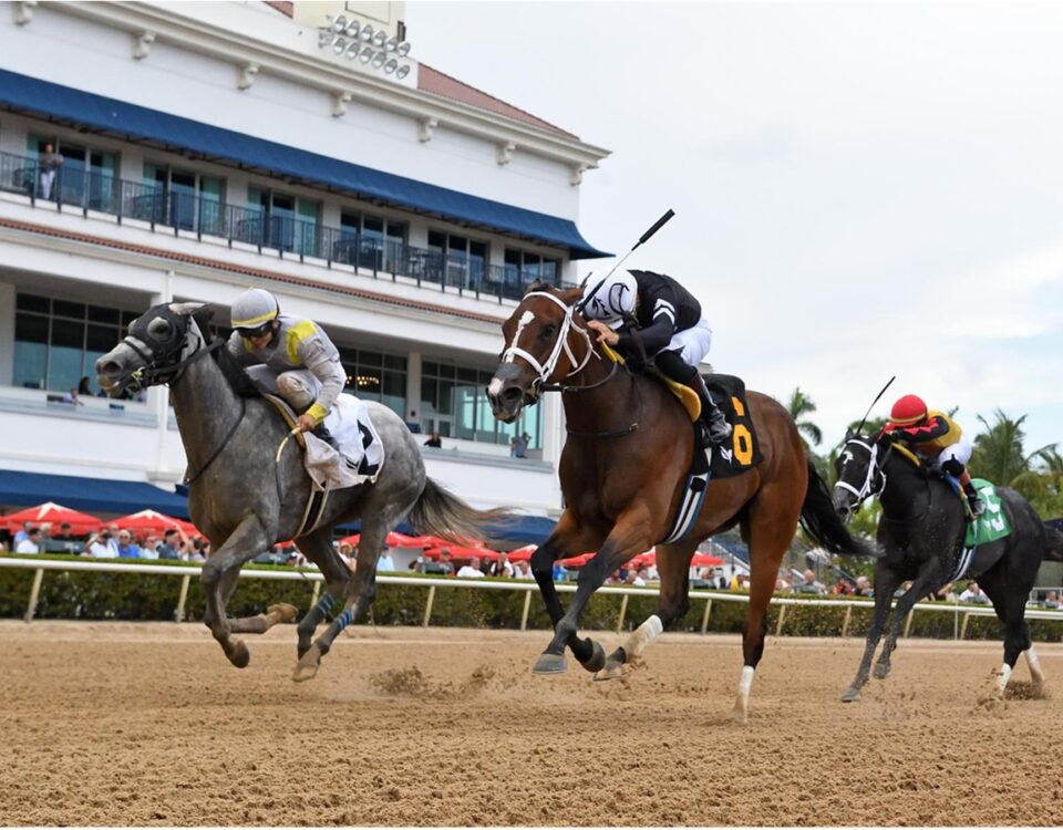Lennilu - Game Face Stakes - Gulfstream Park - Ryan Thompson - Coglianese Photo