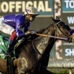 Light Won Up - Santa Anita Park, Arcadia, CA. - Benoit Photo
