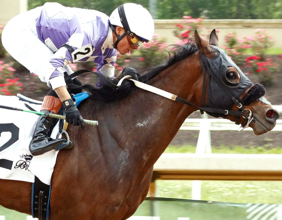 Mark My Words - Belterra Park - Coady Media