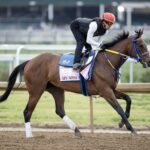 My Miss Mo - Barbara D. Livingston - Daily Racing Form