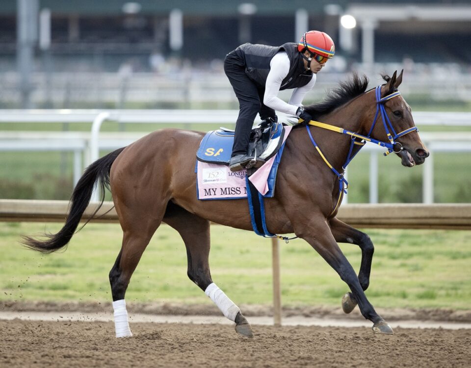 My Miss Mo - Barbara D. Livingston - Daily Racing Form