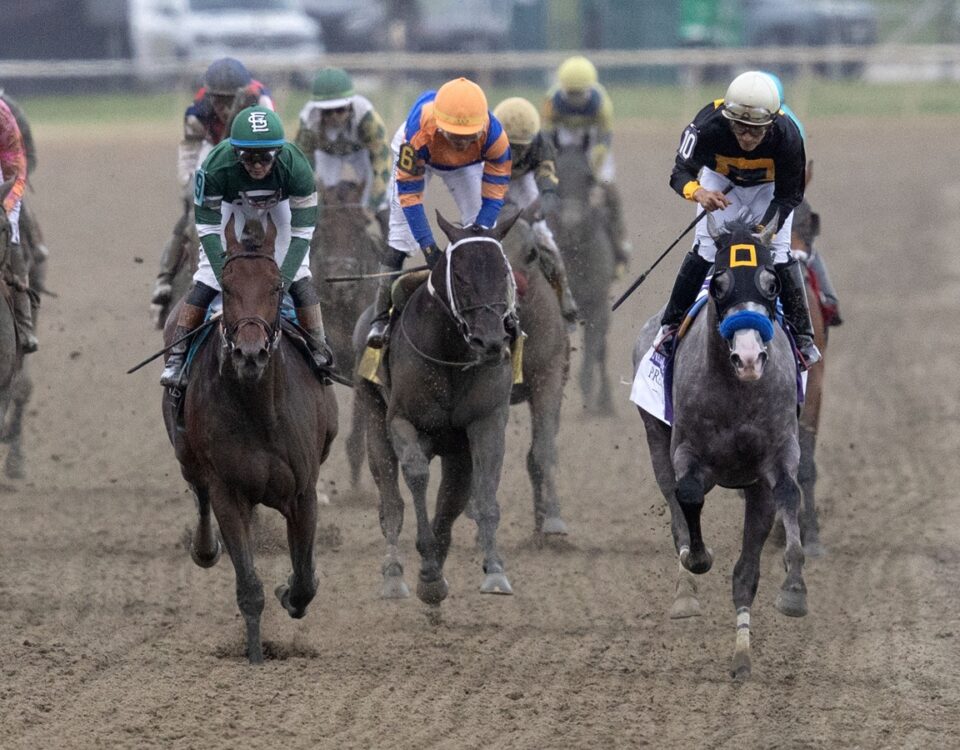 Napoleon Solo - Iron Honor - Preakness - Justin Lane - Daily Racing Form