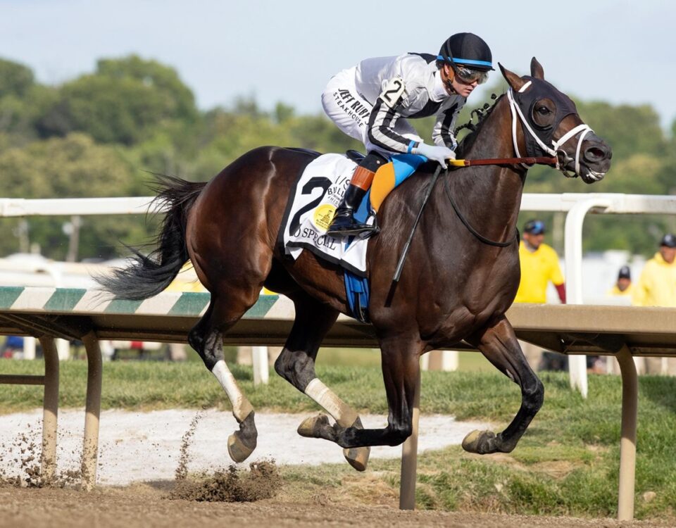 Navajo Warrior - Pimlico Special Stakes G3 - Laurel Park - Barbara D. Livingston - Daily Racing Form