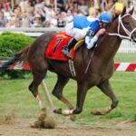 Smarty Jones, Preakness. © Barbara D. L:ivingston - Daily Racing Form