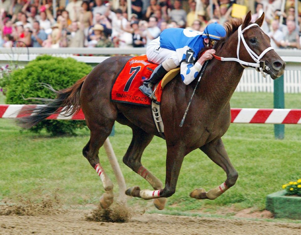 Smarty Jones, Preakness. © Barbara D. L:ivingston - Daily Racing Form