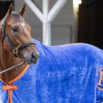 Renegade - Debbie Roma - Daily Racing Form