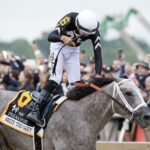 Seize the Grey - Preakness Stakes - DRF Barbara Livingston