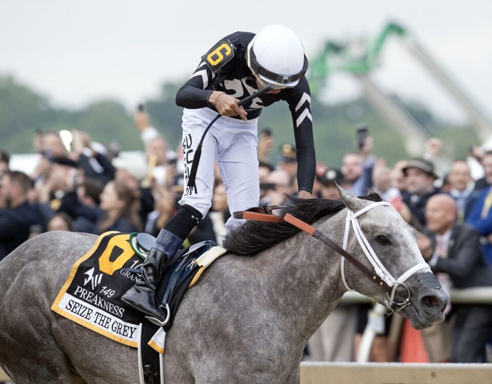 Seize the Grey - Preakness Stakes - DRF Barbara Livingston