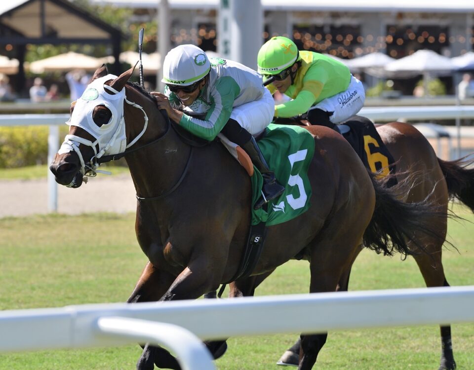 Tank - Ryan Thompson / Coglianese Photo