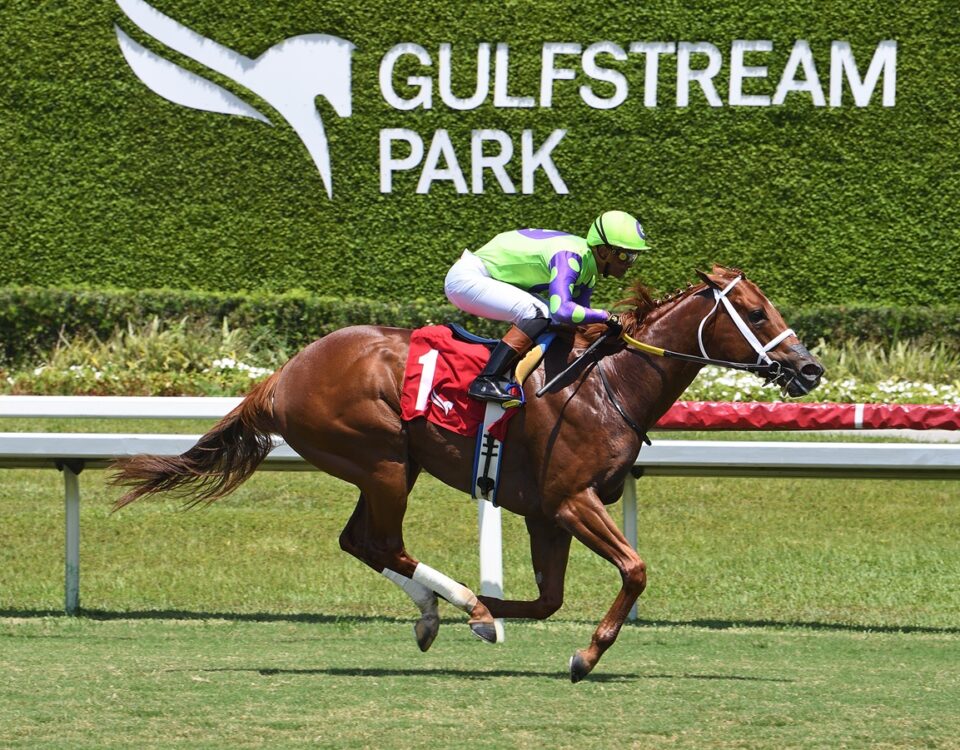 Thought Control - Micah Husbands & Saffie Joseph Jr. - Ryan Thompson / Coglianese Photo