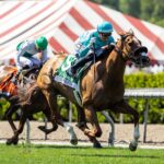 Thought Process - Gamely Stakes G1 - Santa Anita Park - Benoit Photo