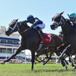 Turino - Monroe Stakes - Gulfstream Park - Ryan Thompson - Coglianese Photo