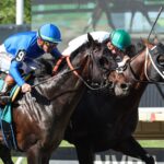East Avenue - Grade III Salvatore Mile - Monmouth Park. Photo By Taylor Ejdys/EQUI-PHOTO