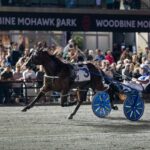 Odds On Mr Mamba - NA Cup G1 $1,000,000 - Mohawk Park - Michael Burns Photo