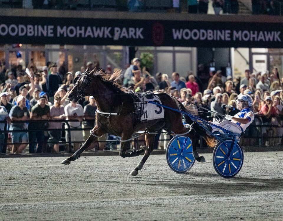 Odds On Mr Mamba - NA Cup G1 $1,000,000 - Mohawk Park - Michael Burns Photo