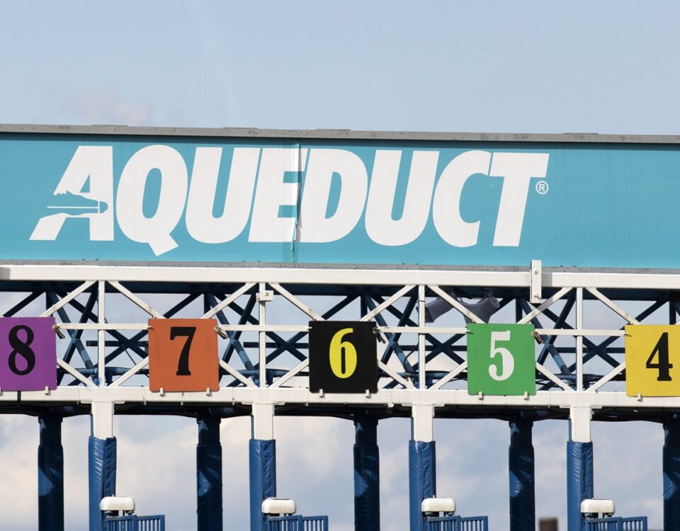 Aqueduct - photo credit Barbara D. Livingston - Daily Racing Form
