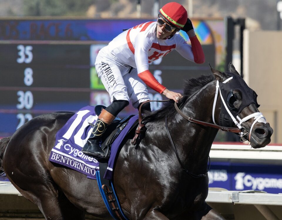 Bentornato - Foto: Barbara D. Livingston - Daily Racing Form