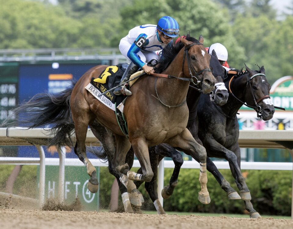 Book'em Danno - Barbara D. Livingston - Daily Racing Form