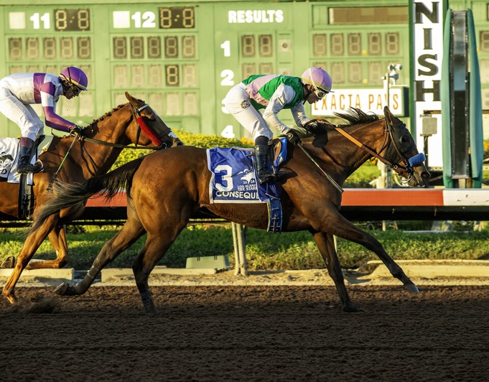 Los Alamitos Race Course, Cypress, CA. - Benoit Photo