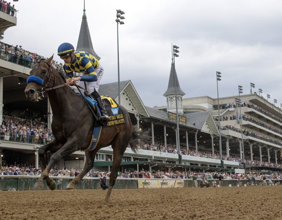 Crude Velocity - Barbara D. Livingston - Daily Racing Form
