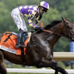 Englishman - Barbada D. Livingston - Daily Racing Form