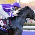 Gstaad - photo credit Barbara D. Livingston - Daily Racing Form