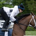 Journalism - Barbara D. Livingston - Daily Racing Form