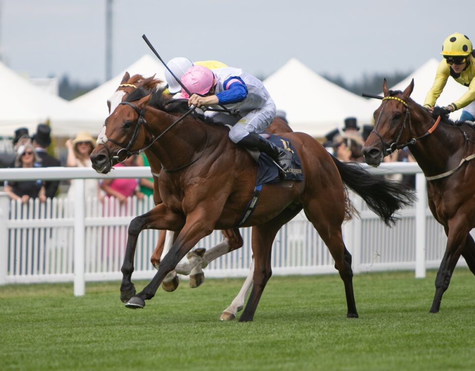 Limestone *Ire - Queen's Vase G2 - Julie Wright - Daily Racing Form