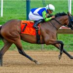 Luv Your Neighbor - The Delaware Oaks G3- Mary Lyons - Hoofprints Inc