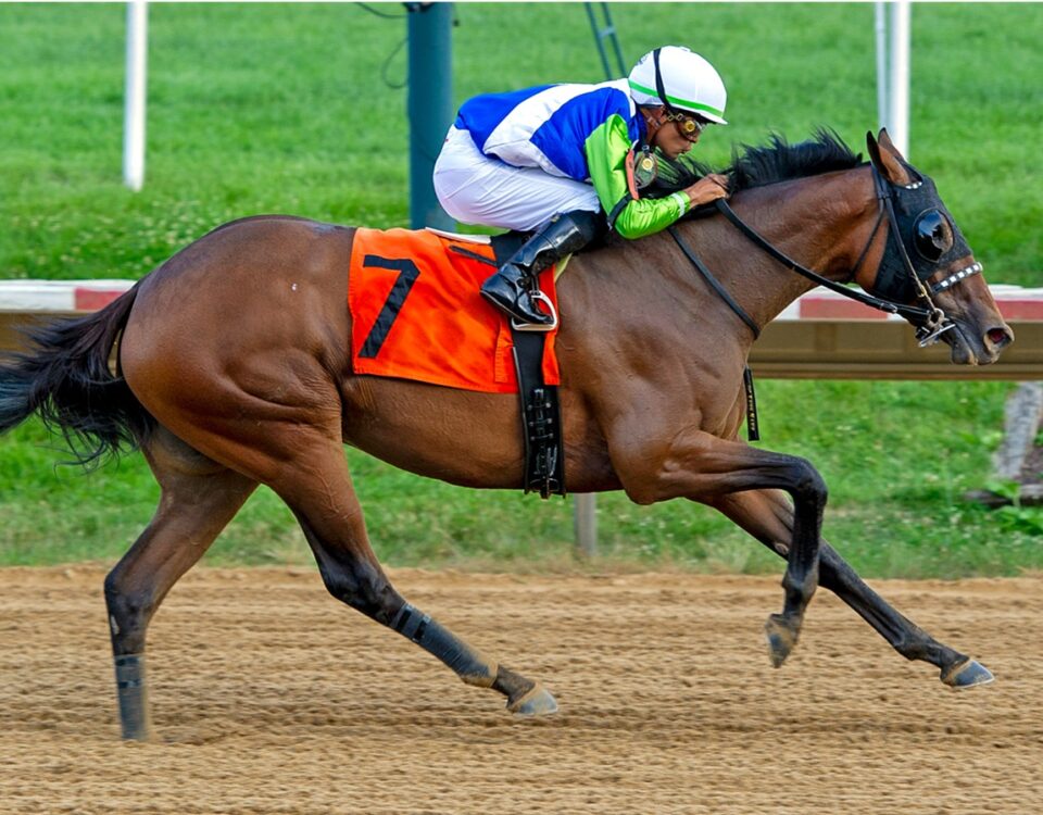 Luv Your Neighbor - The Delaware Oaks G3- Mary Lyons - Hoofprints Inc