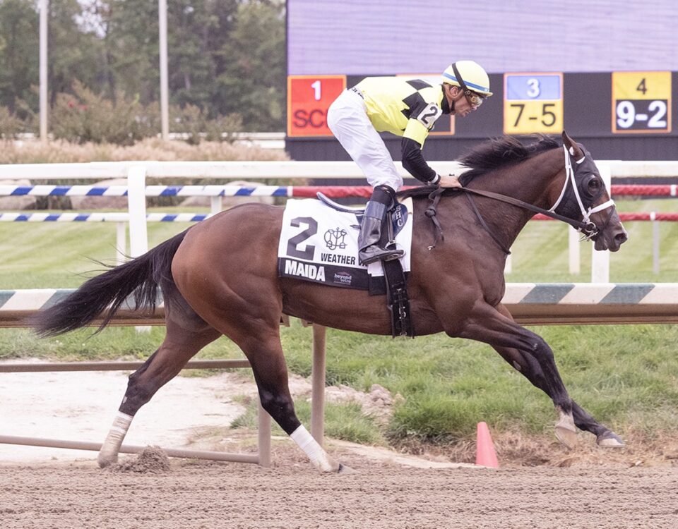 Maida - Laurel Park - foto Maryland Jockey Club