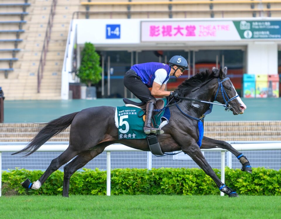 Masquerade Ball - Hong Kong Jockey Club
