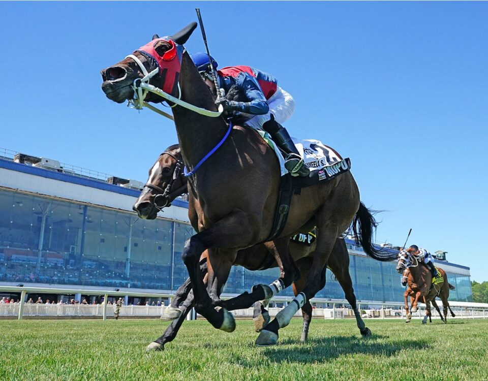 Mopo - Jameela Stakes - Laurel Park - JEFFREY SNYDER f/ The Maryland Jockey Club