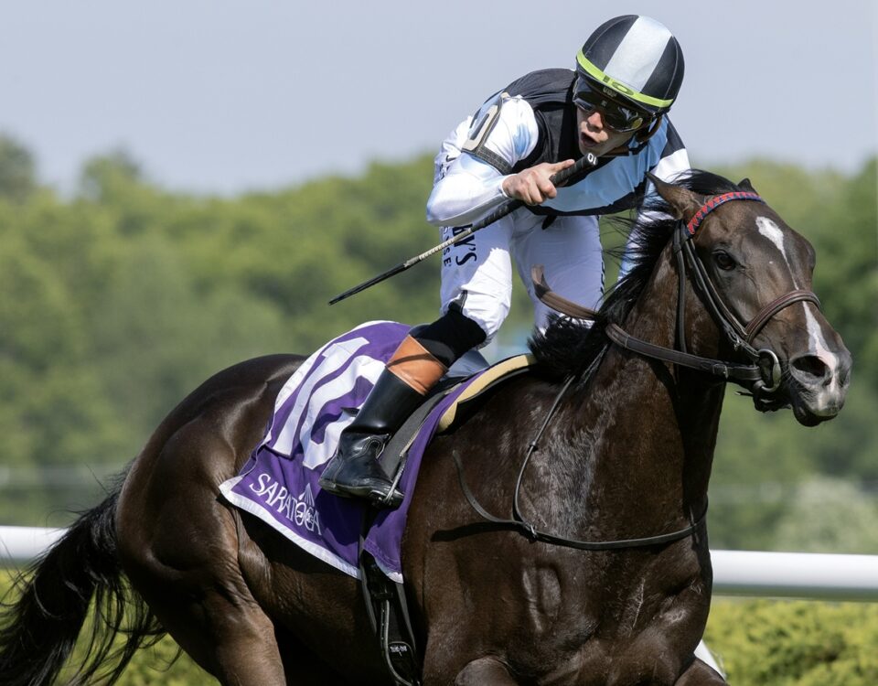 Roja - Barbara D. Livingston - Daily Racing Form