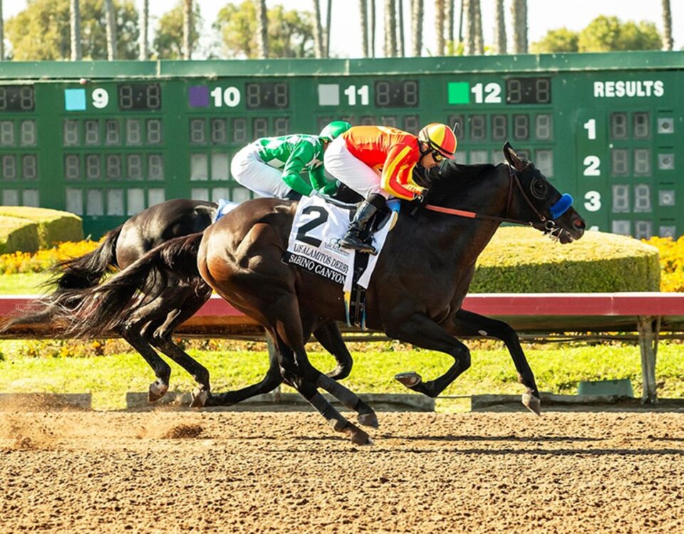 Sabino Canyon - Los Alamitos Derby - Credit: Benoit Photo - Los Alamitos