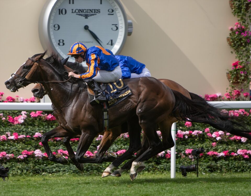 Scandinavia - The Gold Cup (Grupo 1) - Julie Wright - Daily Racing Form